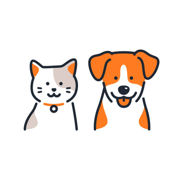 Mascotas